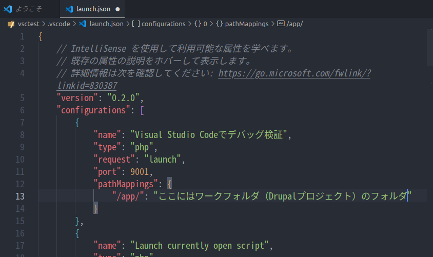 LAUNCH.JSON